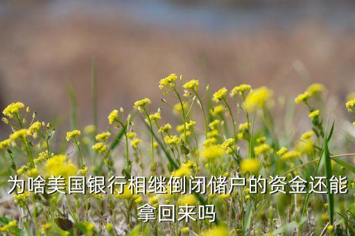 為啥美國(guó)銀行相繼倒閉儲(chǔ)戶的資金還能拿回來(lái)嗎