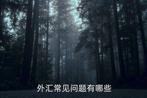 大型金融跨國(guó)集團(tuán)外匯