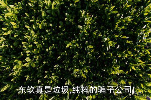  東軟真是垃圾,純粹的騙子公司!