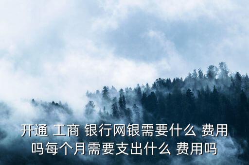 開(kāi)通 工商 銀行網(wǎng)銀需要什么 費(fèi)用嗎每個(gè)月需要支出什么 費(fèi)用嗎