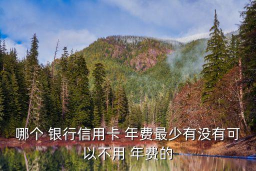 哪個(gè) 銀行信用卡 年費(fèi)最少有沒有可以不用 年費(fèi)的