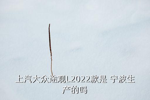 上汽大眾途觀(guān)L2022款是 寧波生產(chǎn)的嗎
