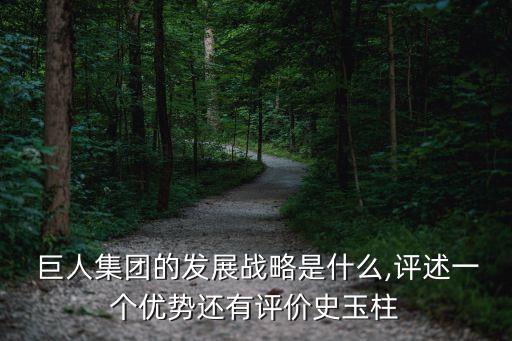  巨人集團(tuán)的發(fā)展戰(zhàn)略是什么,評述一個優(yōu)勢還有評價史玉柱