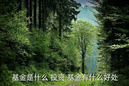 簡(jiǎn)述投資基金的優(yōu)點(diǎn),投資基金的優(yōu)點(diǎn)主要在于( )方式