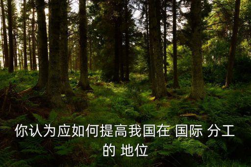 你認為應(yīng)如何提高我國在 國際 分工的 地位