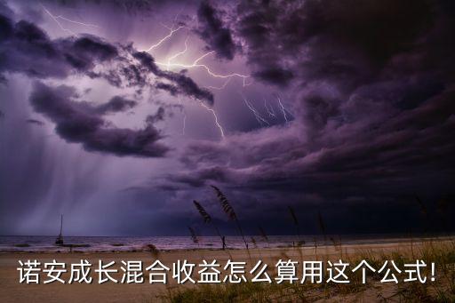 諾安成長混合收益怎么算用這個公式!