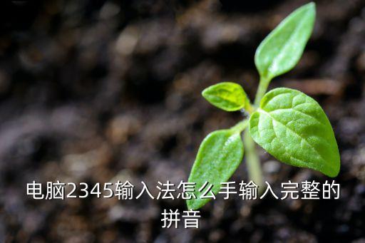 電腦2345輸入法怎么手輸入完整的拼音