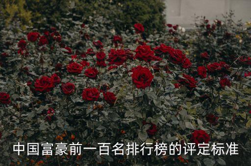 中國富豪前一百名排行榜的評(píng)定標(biāo)準(zhǔn)
