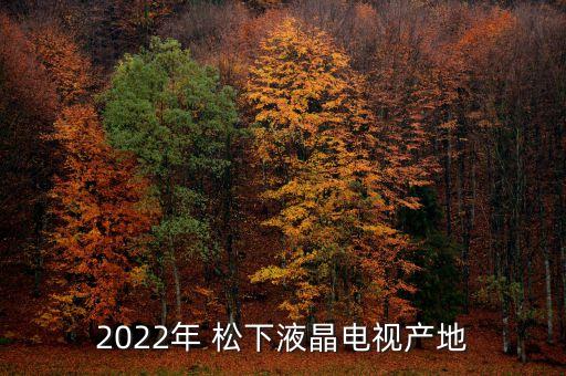 2022年 松下液晶電視產地