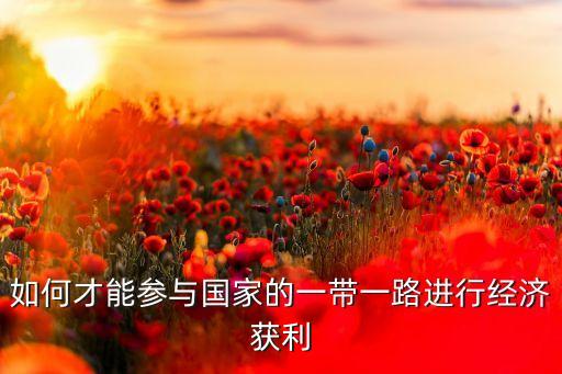 如何才能參與國家的一帶一路進(jìn)行經(jīng)濟(jì)獲利