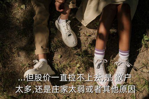 ...但股價一直拉不上去,是 散戶 太多,還是莊家太弱或者其他原因