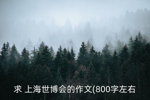 求 上海世博會的作文(800字左右