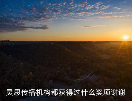 靈思傳播機構都獲得過什么獎項謝謝