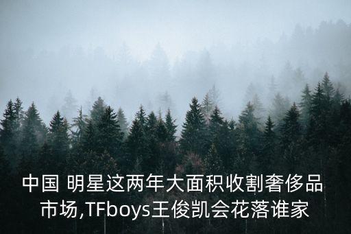 中國 明星這兩年大面積收割奢侈品 市場(chǎng),TFboys王俊凱會(huì)花落誰家