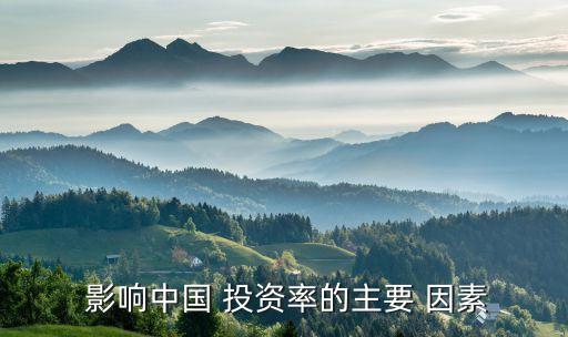  影響中國 投資率的主要 因素