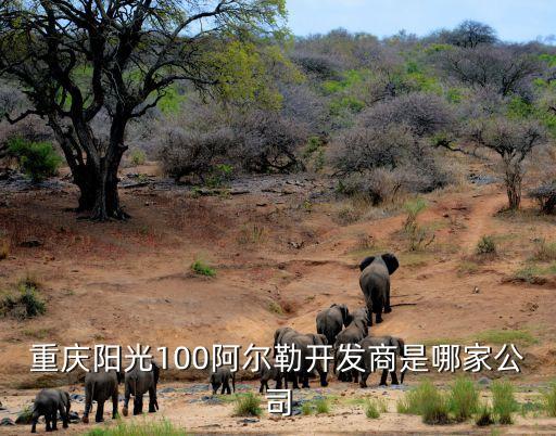 重慶陽(yáng)光100阿爾勒開(kāi)發(fā)商是哪家公司