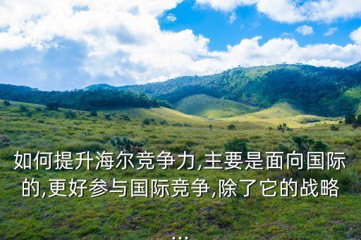 如何提升海爾競(jìng)爭(zhēng)力,主要是面向國(guó)際的,更好參與國(guó)際競(jìng)爭(zhēng),除了它的戰(zhàn)略...