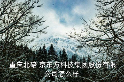  重慶北碚 京東方科技集團(tuán)股份有限公司怎么樣