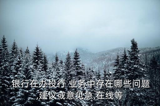  銀行在辦投行 業(yè)務(wù)中存在哪些問(wèn)題,建議或意見(jiàn)急,在線等