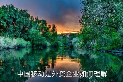  中國移動是外資企業(yè)如何理解