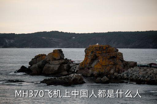 MH370飛機上中國人都是什么人