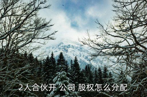 2人合伙開(kāi) 公司 股權(quán)怎么分配