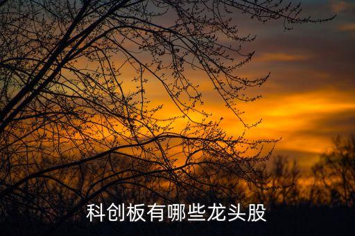 科創(chuàng)板有哪些龍頭股