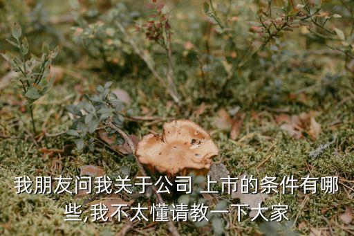 我朋友問我關(guān)于公司 上市的條件有哪些,我不太懂請教一下大家