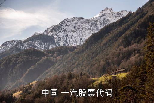 一汽轎車公司網(wǎng)站