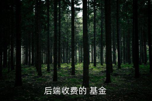 519693基金好不好,基金累計凈值519693