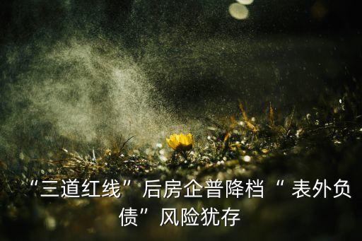 “三道紅線”后房企普降檔“ 表外負(fù)債”風(fēng)險猶存