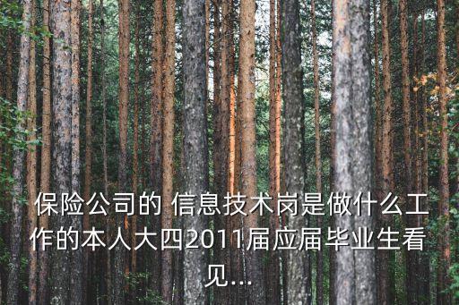 保險公司信息技術(shù)部