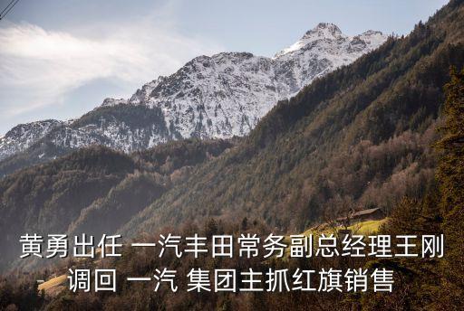 一汽集團(tuán)姜君簡介