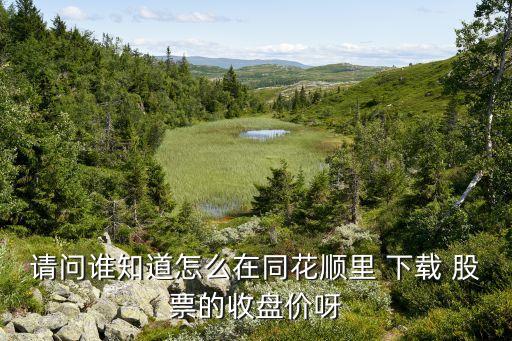 請問誰知道怎么在同花順里 下載 股票的收盤價(jià)呀
