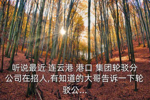 連云港港口集團(tuán)怎么樣