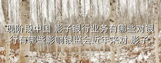 現(xiàn)階段中國 影子銀行業(yè)務有哪些對銀行有哪些影響銀監(jiān)會近年來對 影子...