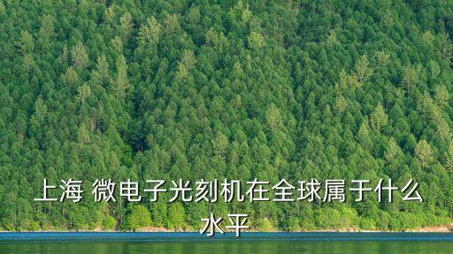  上海 微電子光刻機(jī)在全球?qū)儆谑裁此? class=
