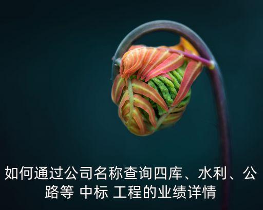 如何通過公司名稱查詢四庫、水利、公路等 中標(biāo) 工程的業(yè)績詳情