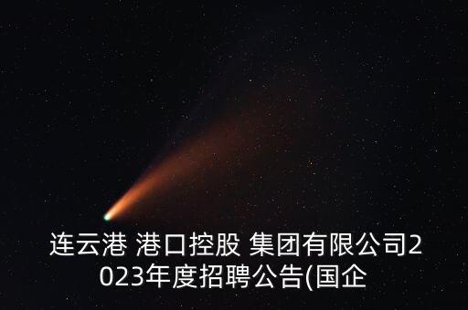  連云港 港口控股 集團有限公司2023年度招聘公告(國企