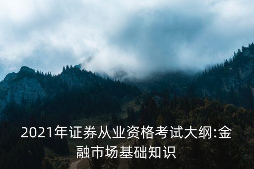 2021年證券從業(yè)資格考試大綱:金融市場基礎知識