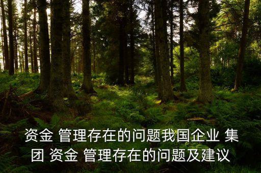  資金 管理存在的問題我國企業(yè) 集團(tuán) 資金 管理存在的問題及建議