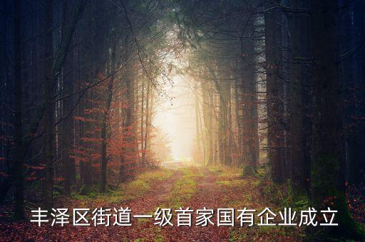  豐澤區(qū)街道一級首家國有企業(yè)成立
