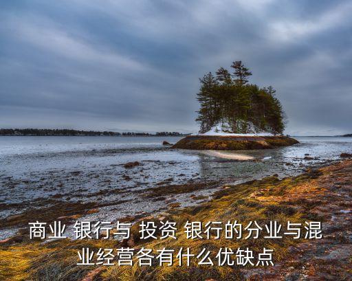 商業(yè) 銀行與 投資 銀行的分業(yè)與混業(yè)經(jīng)營(yíng)各有什么優(yōu)缺點(diǎn)