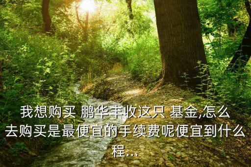 我想購買 鵬華豐收這只 基金,怎么去購買是最便宜的手續(xù)費(fèi)呢便宜到什么程...