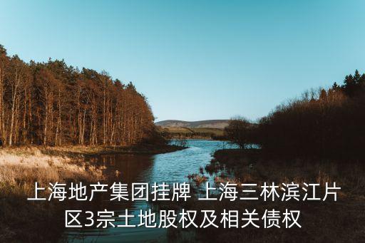  上海地產(chǎn)集團掛牌 上海三林濱江片區(qū)3宗土地股權(quán)及相關(guān)債權(quán)