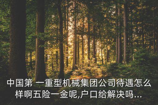 中國一重工資,中國重工資產(chǎn)注入時(shí)間