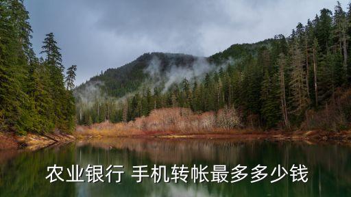  農(nóng)業(yè)銀行 手機(jī)轉(zhuǎn)帳最多多少錢