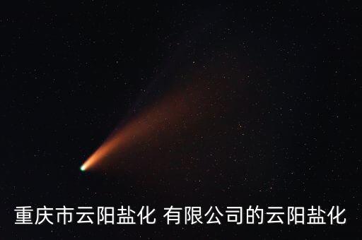重慶市云陽鹽化 有限公司的云陽鹽化