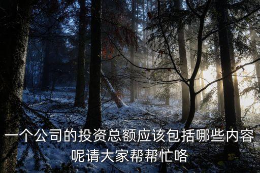 一個(gè)公司的投資總額應(yīng)該包括哪些內(nèi)容呢請大家?guī)蛶兔? class=
