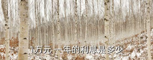 1萬元 一年的利息是多少